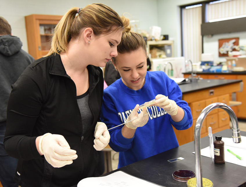 Two students examine a petri dish.
