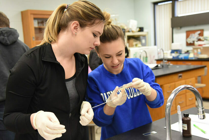 2 students study an open petri dish.