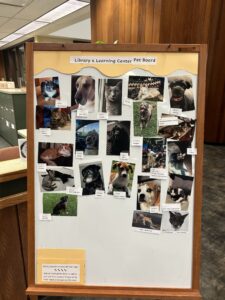 whiteboard easel with pictures of dogs and cats on it