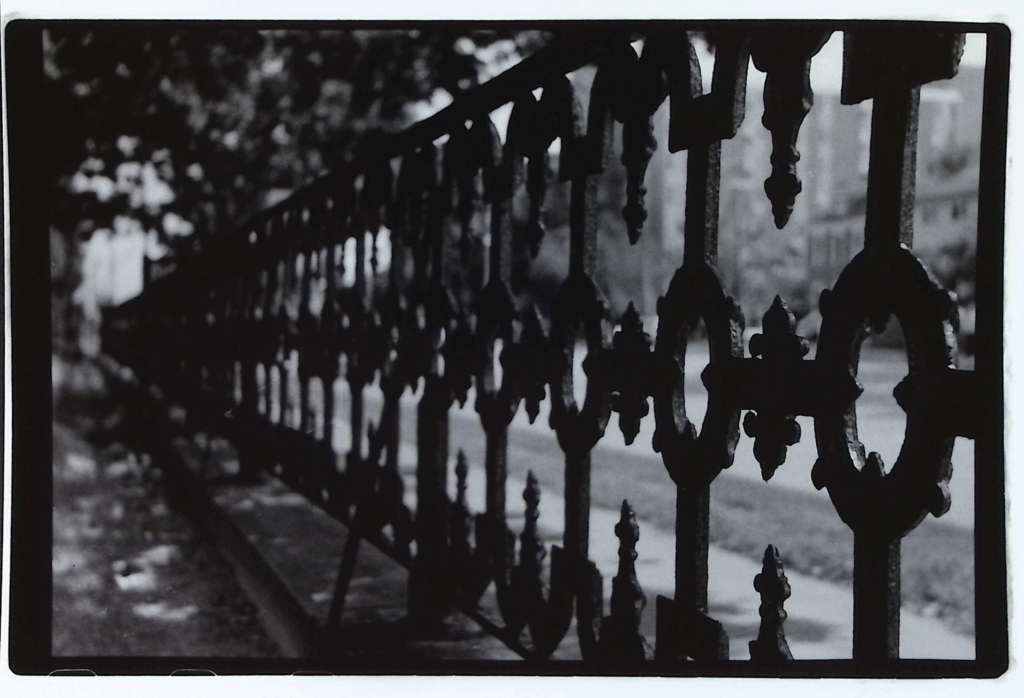 black and white photo of black wrought iron fence