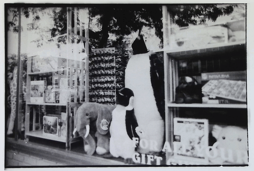 black and white picture of storefront winder, appears to be toy store with large stuffed penguin in center